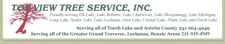 Top View Tree Service, Inc.